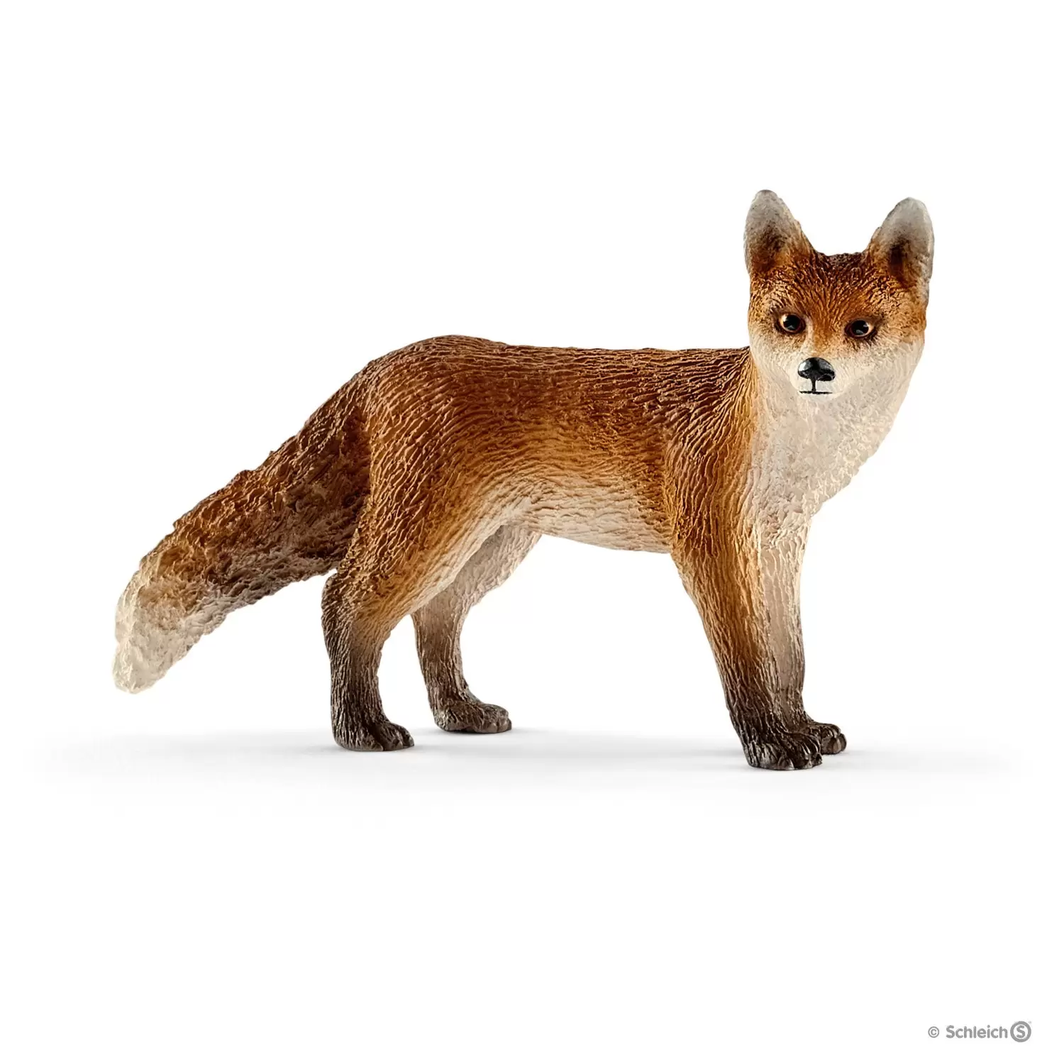 Wild Life - Renard