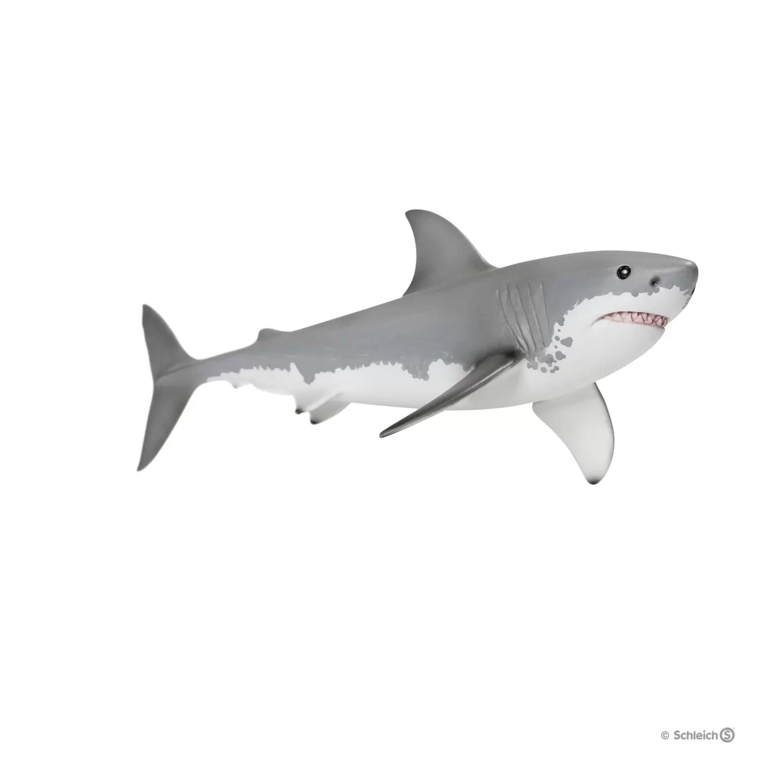 Wild Life - Requin blanc