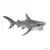 Wild Life - Requin tigre