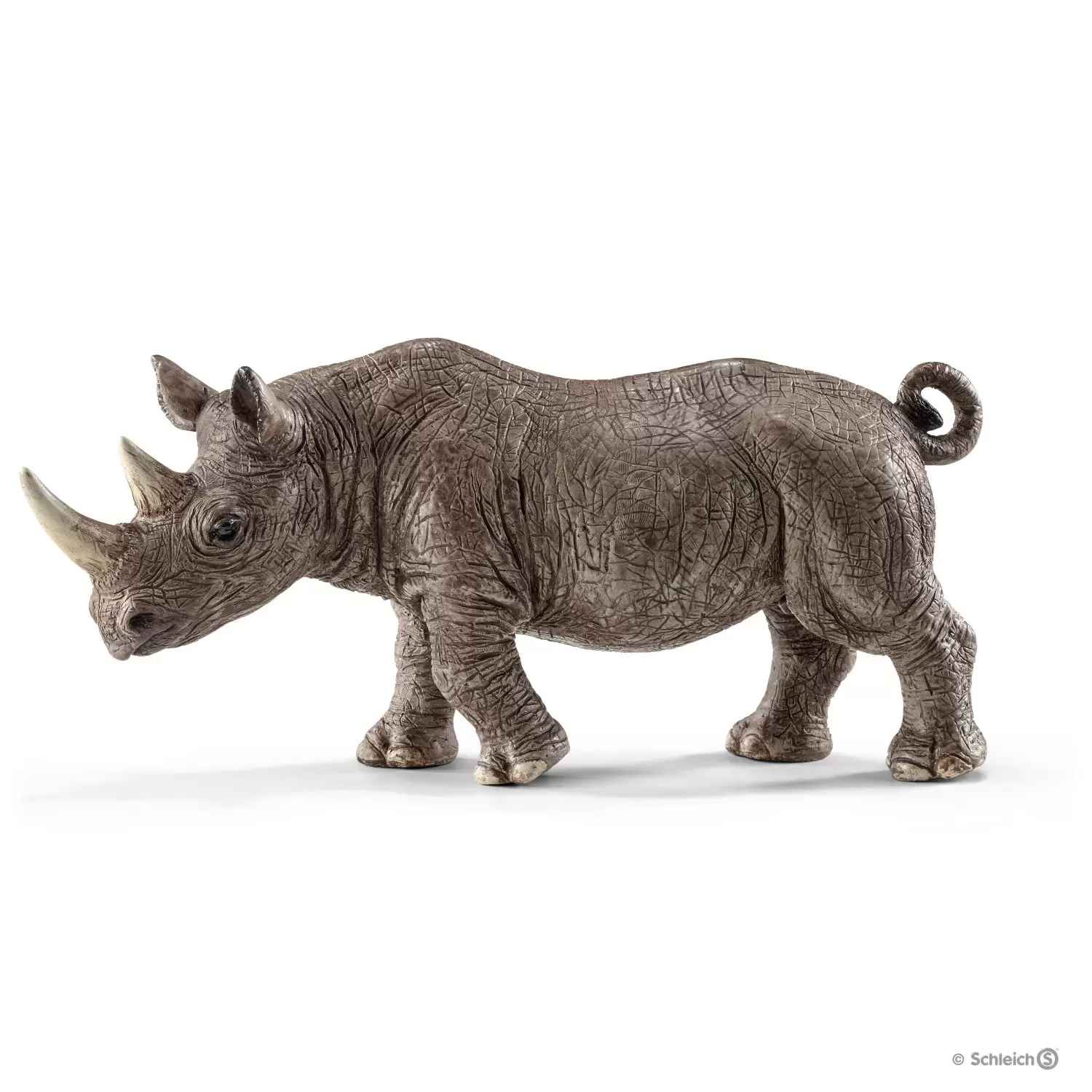 Wild Life - Rhinocéros