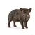 Sanglier