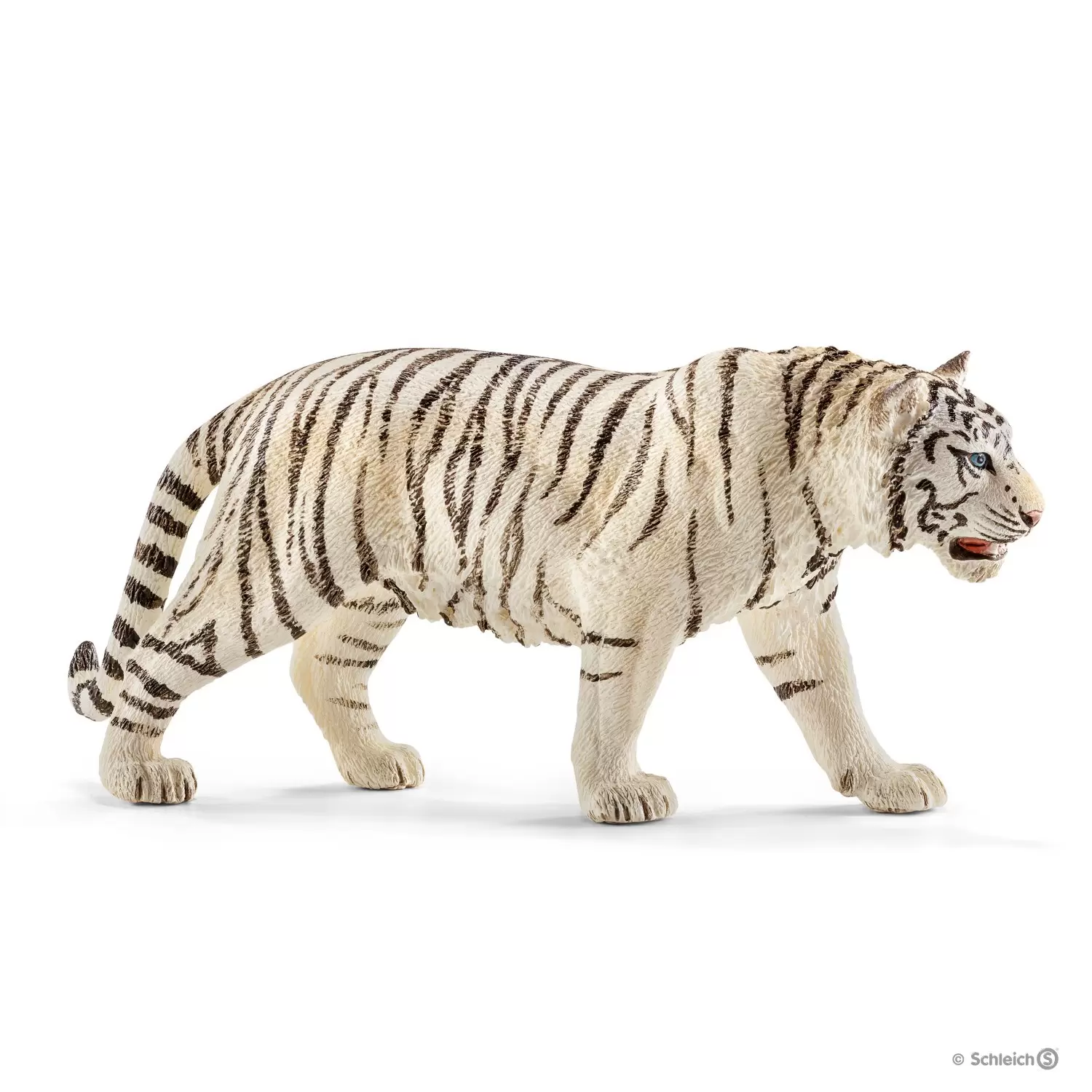 Wild Life - Tigre blanc mâle