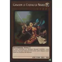 Gawayn le Chevalier Noble