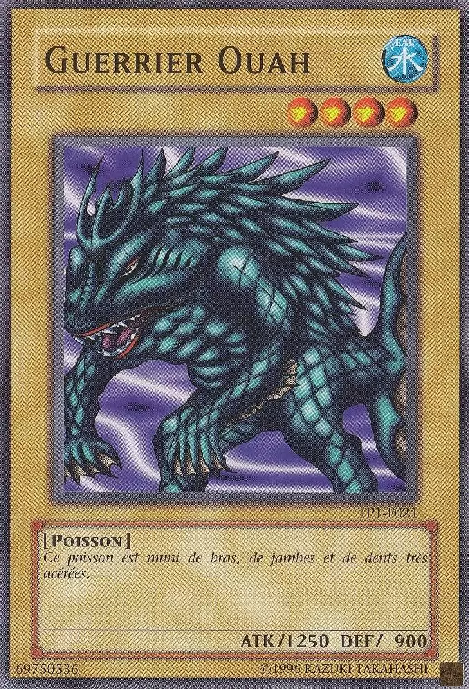 Pack de Tournoi 1ère Saison TP1 - Guerrier Ouah