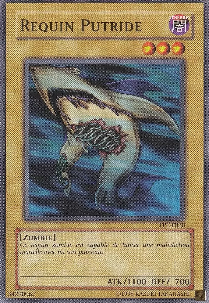 Pack de Tournoi 1ère Saison TP1 - Requin Putride