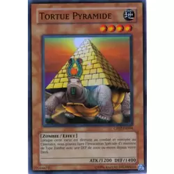 Tortue Pyramide