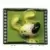 Marsupilami Médaillon 1
