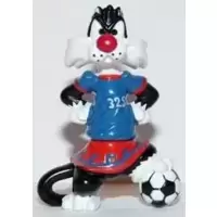 Sylvestre footballeur