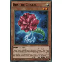 Rose de Cristal