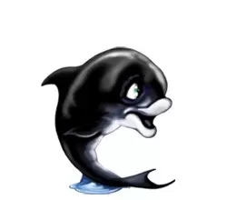 Multicolor Dolphins - Argo