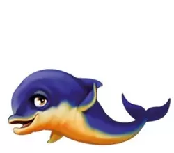 Multicolor Dolphins - Micky
