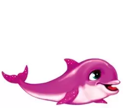 Multicolor Dolphins - Pinky