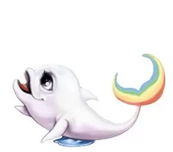 Multicolor Dolphins - Sugar