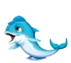 Multicolor Dolphins - Sunny
