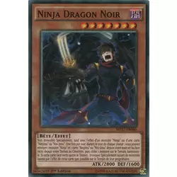 Ninja Dragon Noir