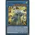 Mega Pack 2017 MP17 - Paon Shinobaron