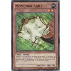 Momonga Agile