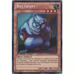 Rat Géant