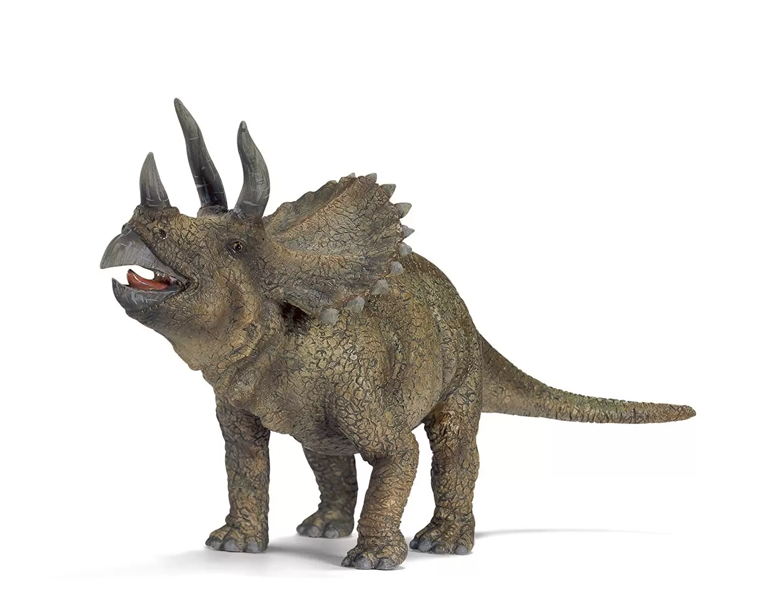 Dinosaurs - Triceratops