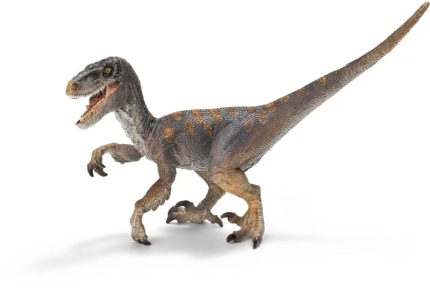 Dinosaurs - Vélociraptor