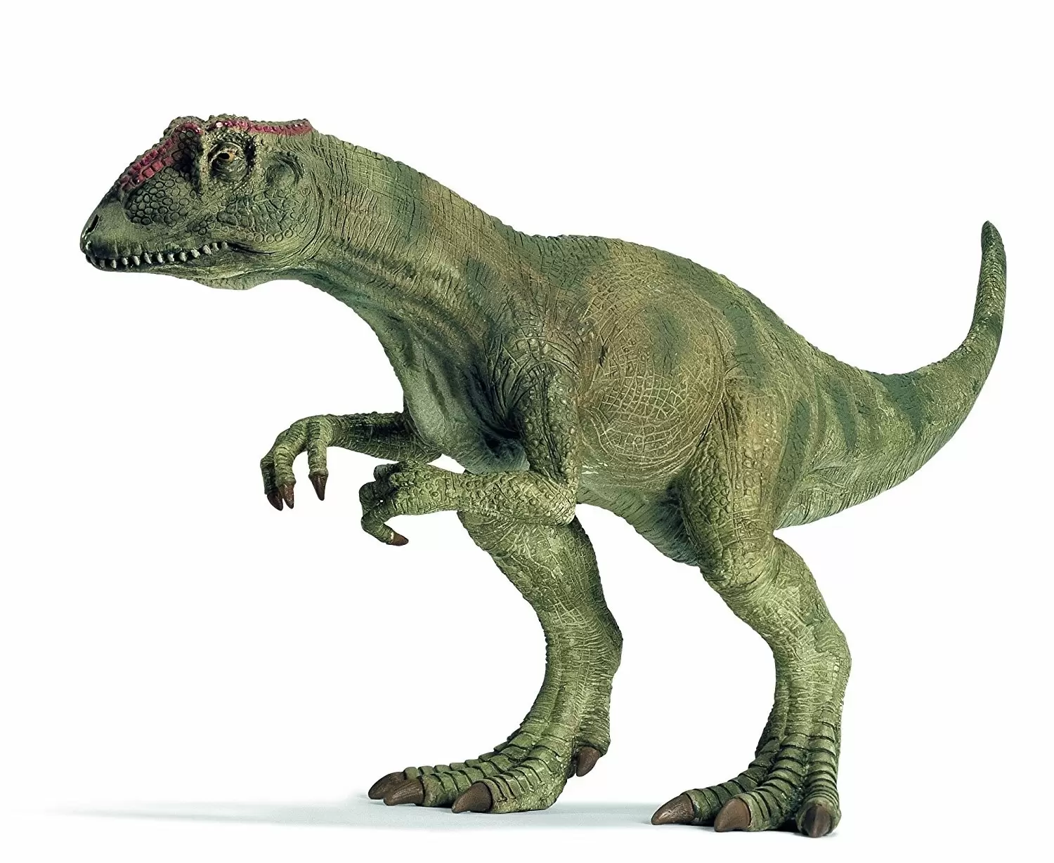 Dinosaurs - Allosaurus