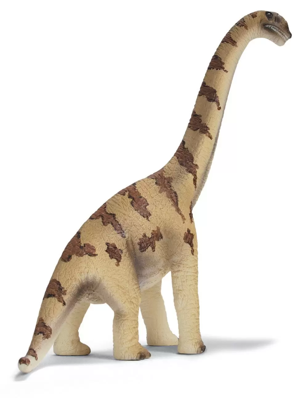 Dinosaurs - Brachiosaurus