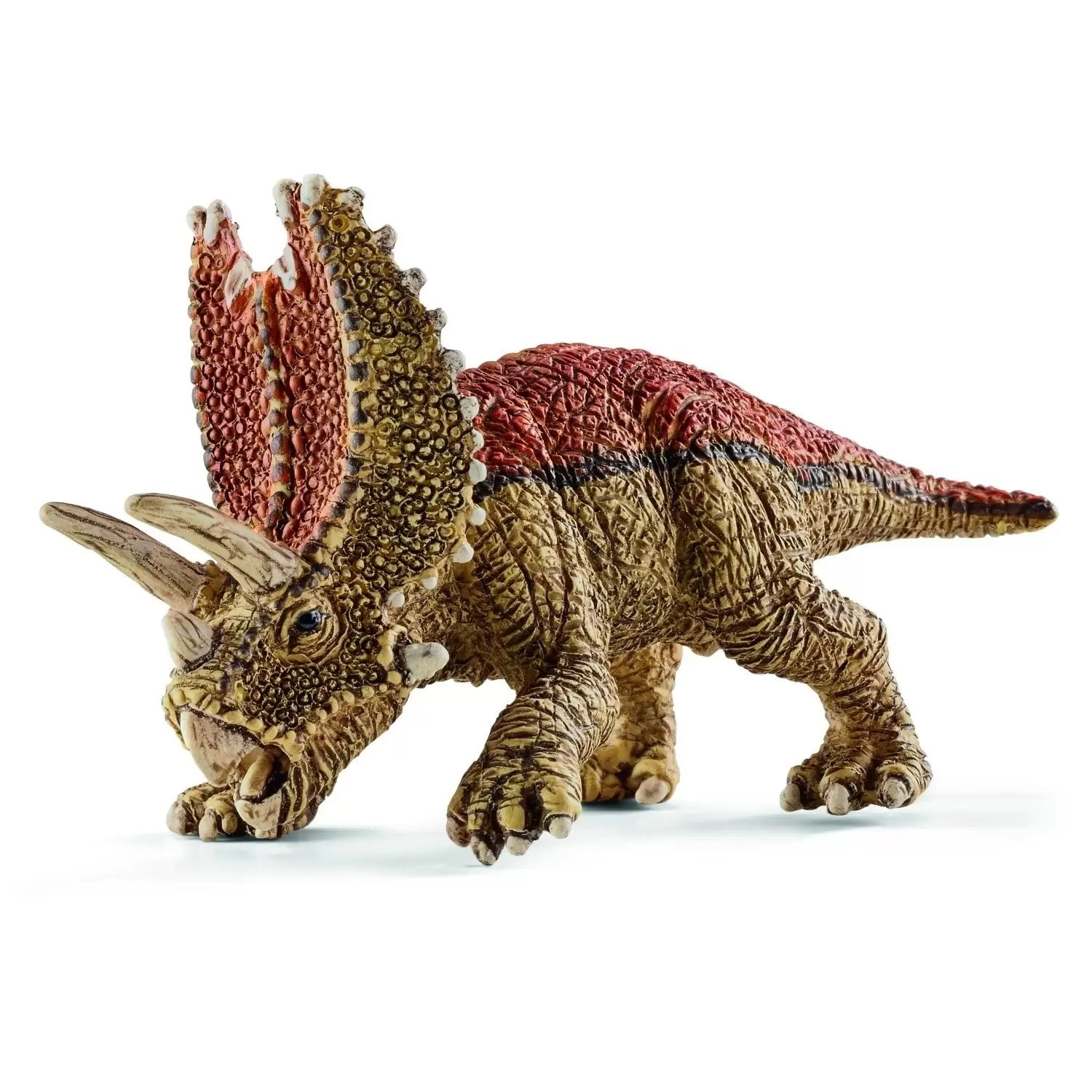 Dinosaurs - Mini Pentaceratops