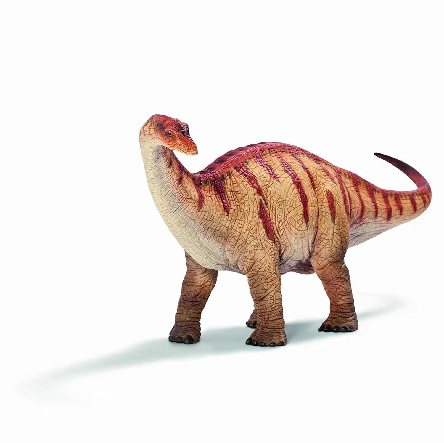 Dinosaurs - Apatosaure