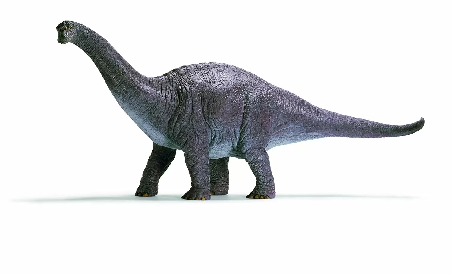 Dinosaurs - Apatosaurus