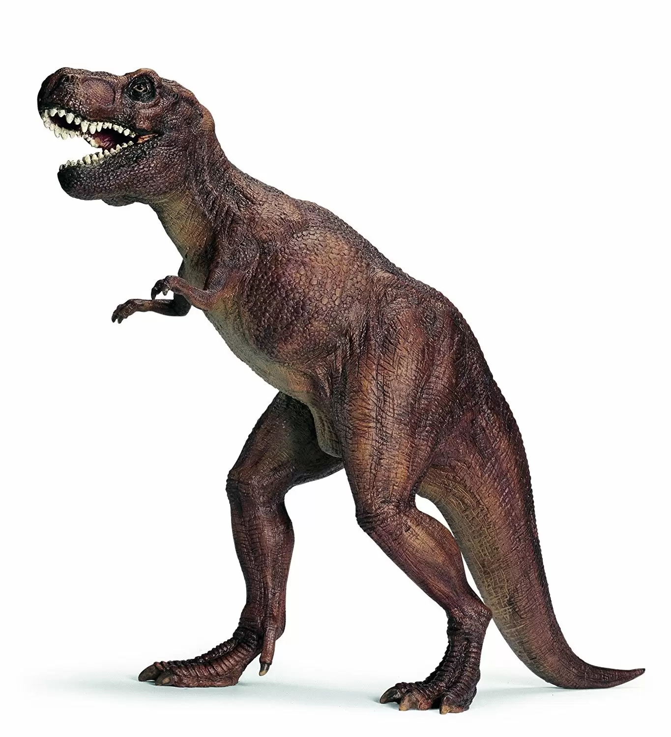 Dinosaurs - Tyrannosaurus Rex
