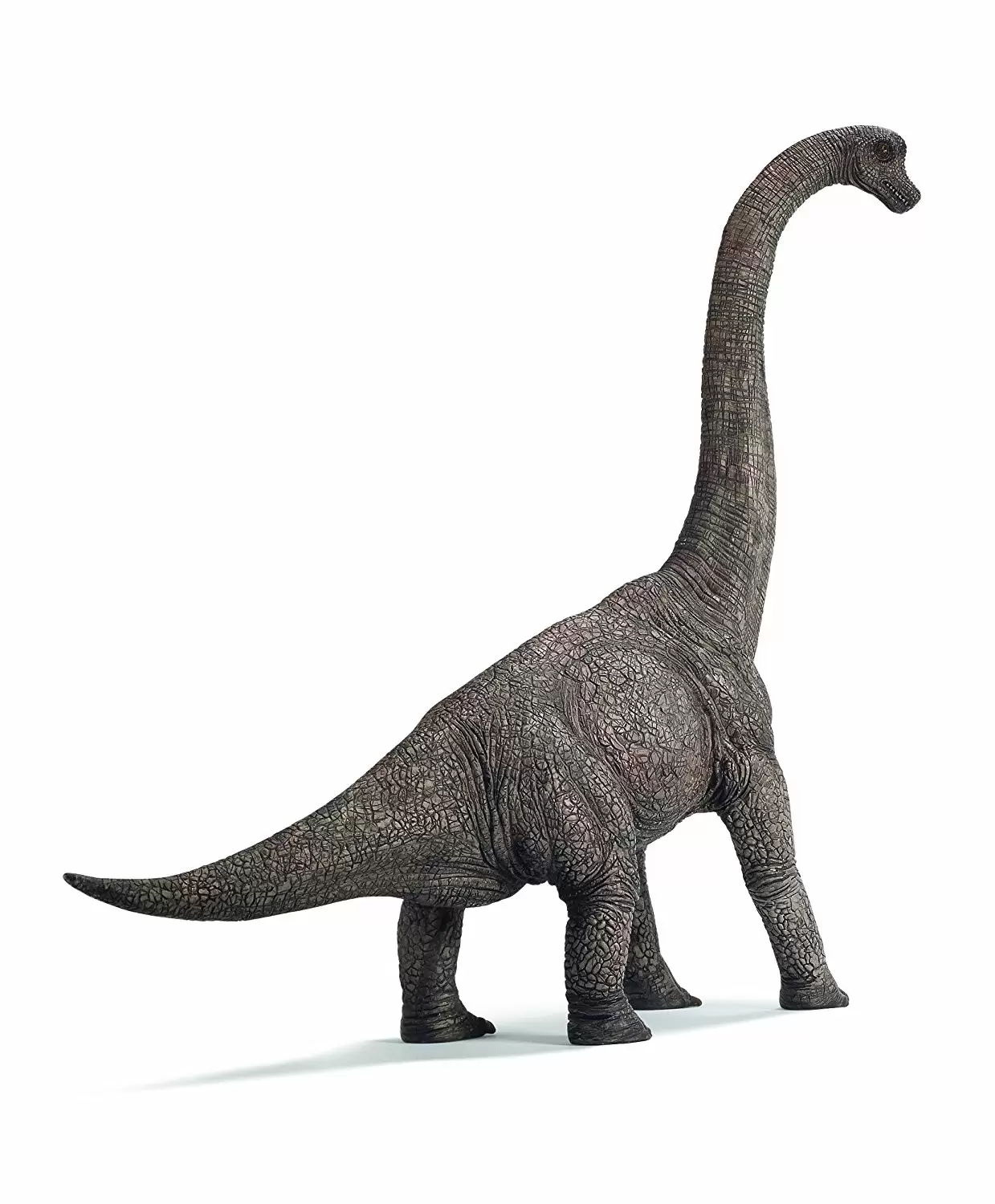 Dinosaurs - Brachiosaurus