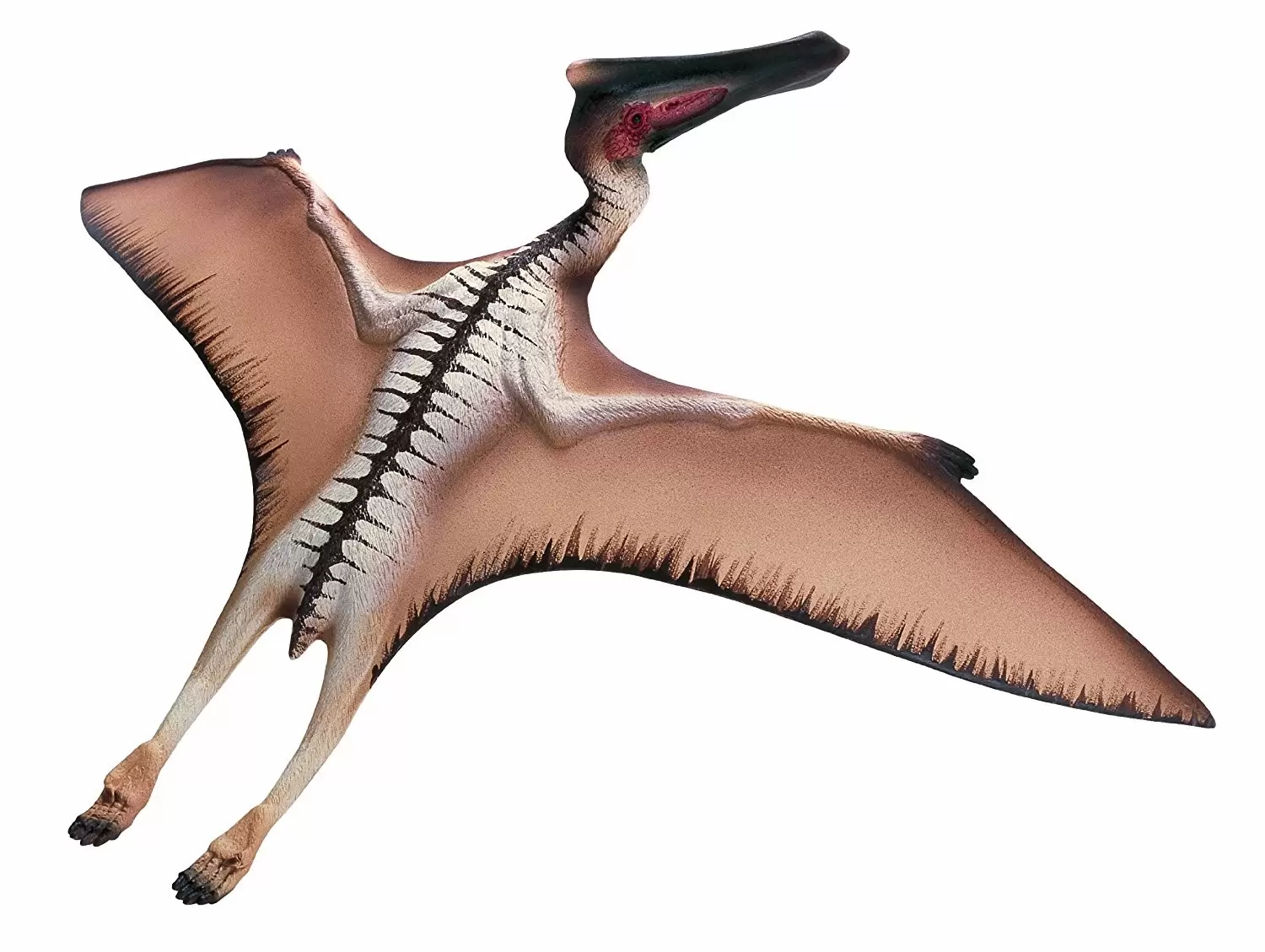 Dinosaurs - Quetzalcoatlus - Replica Saurus