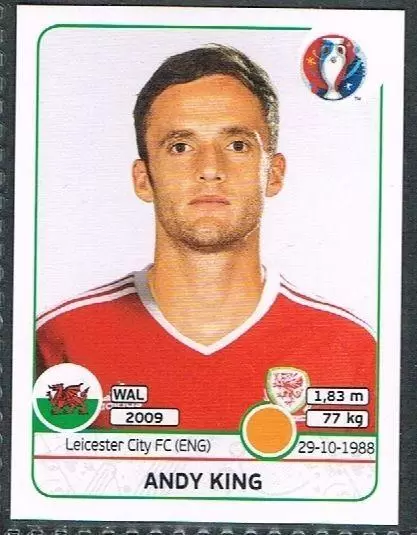 Euro 2016 France - Andy King - Wales