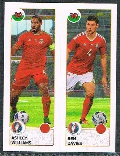 Euro 2016 France - Ashley Williams / Ben Davies - Wales