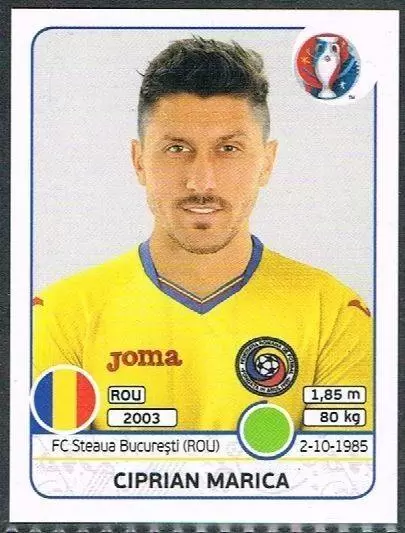 Euro 2016 France - Ciprian Marica - Romania