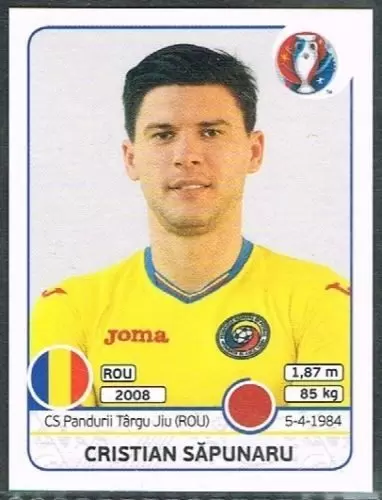Euro 2016 France - Cristian Sapunaru - Romania