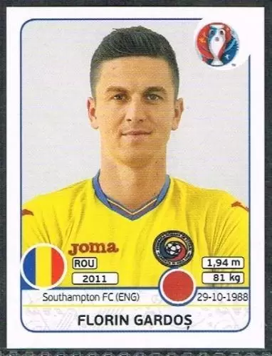 Euro 2016 France - Florin Gardos - Romania