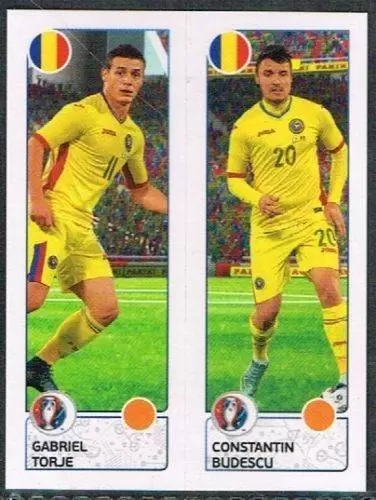 Euro 2016 France - Gabriel Torje / Constantin Budescu - Romania