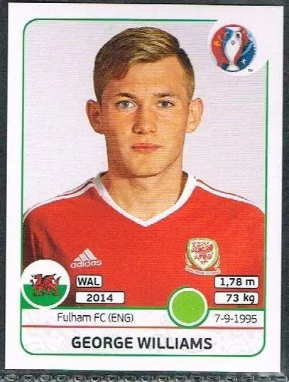 Euro 2016 France - George Williams - Wales