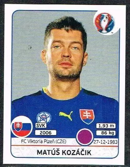 Euro 2016 France - Matus Kozácik - Slovak Republic