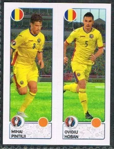Euro 2016 France - Michael Pintilii / Ovidiu Hoban - Romania