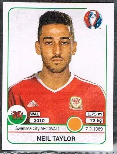 Euro 2016 France - Neil Taylor - Wales