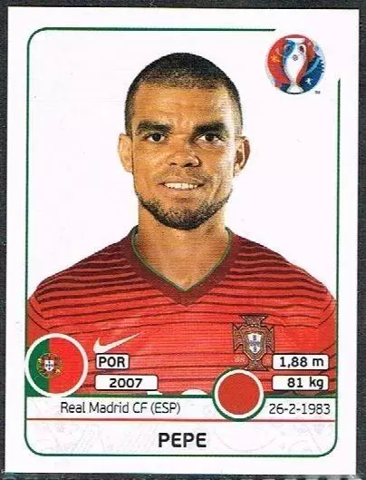 Euro 2016 France - Pepe - Portugal