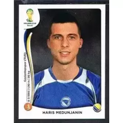 Haris Medunjanin - Bosna i Hercegovina