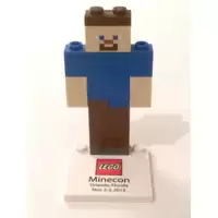 Promo Steve