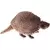 Glyptodon