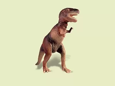 Dinosaurs - Tyrannosaurus Rex