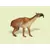 Dinosaurs - Macrauchenia