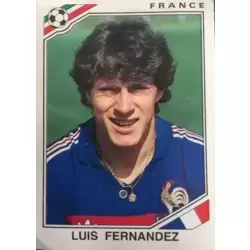 Luis Fernandez - France