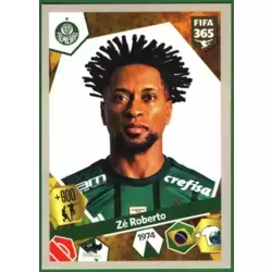 Zé Roberto - Palmeiras